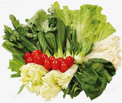 绿色蔬菜PNG图片素材免费下载_png格式_熊猫办公