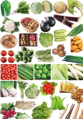 各种新鲜蔬菜图片素材