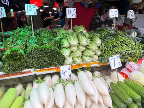 广州蔬菜价格连续第3周上升,均价9.31元 公斤